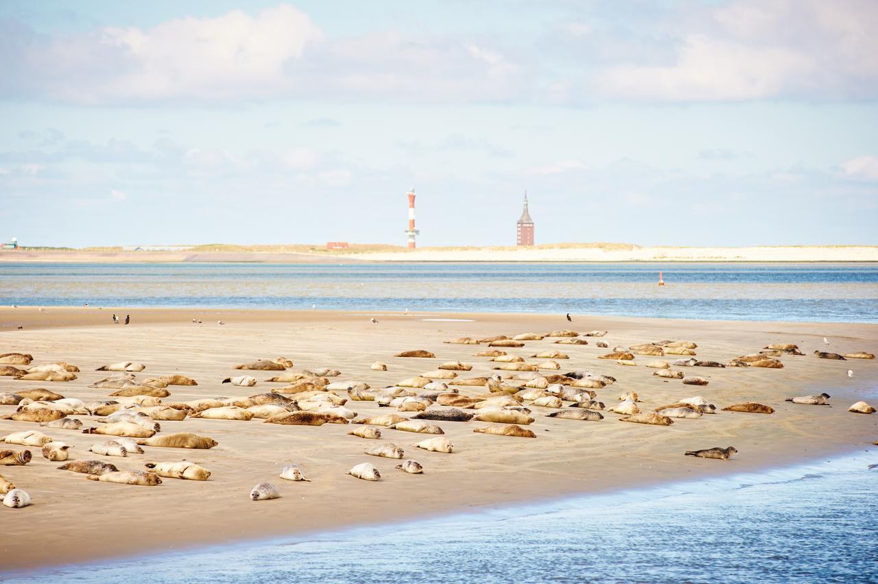 Jugendherberge Wangerooge Wangerooge Island Exteriér fotografie